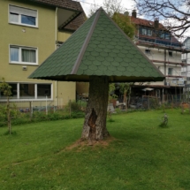 IMG-20210503-WA0006